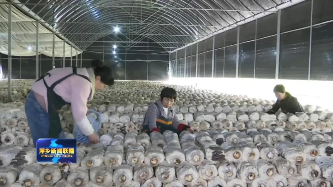 △村民实现家门口就业增收