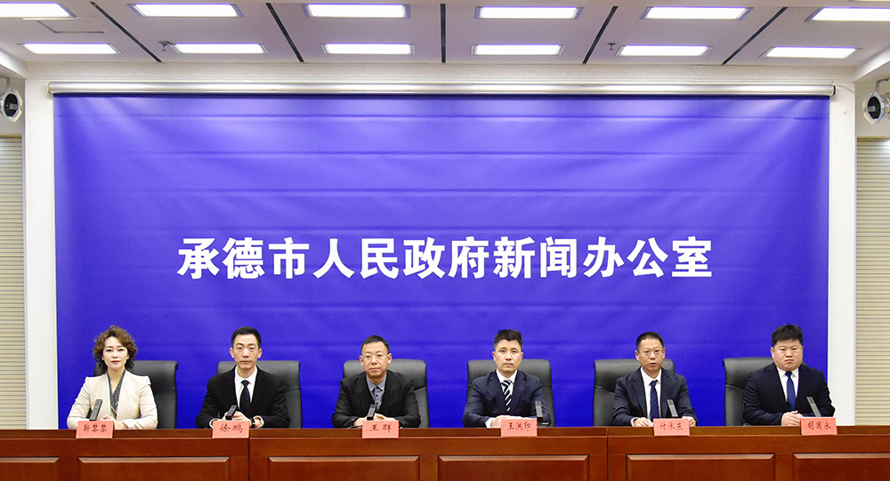 发布会 王占平摄