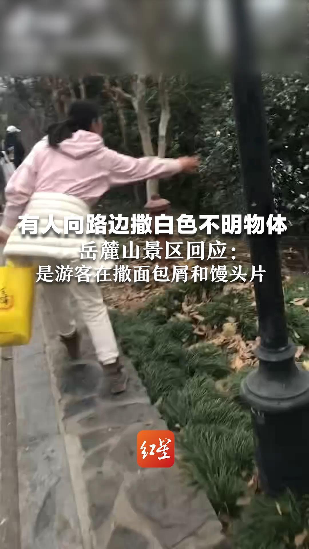 有人向路边撒白色不明物体 岳麓山景区回应：没有造成环境污染 是游客在撒面包屑和馒头片