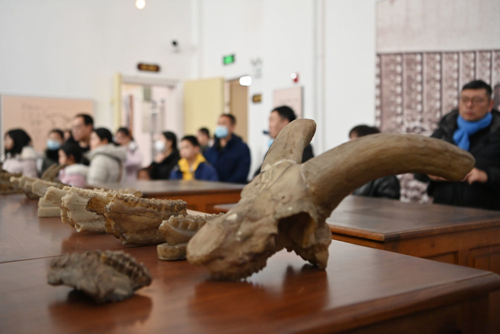 2024年1月27日,游客在位于天津的北疆博物院内参观。新华社记者 李然 摄