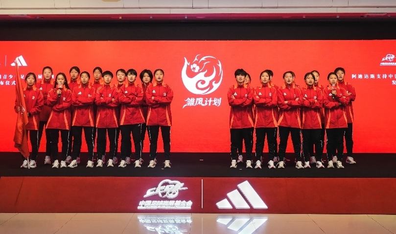 共同见证雏凤计划Logo亮相