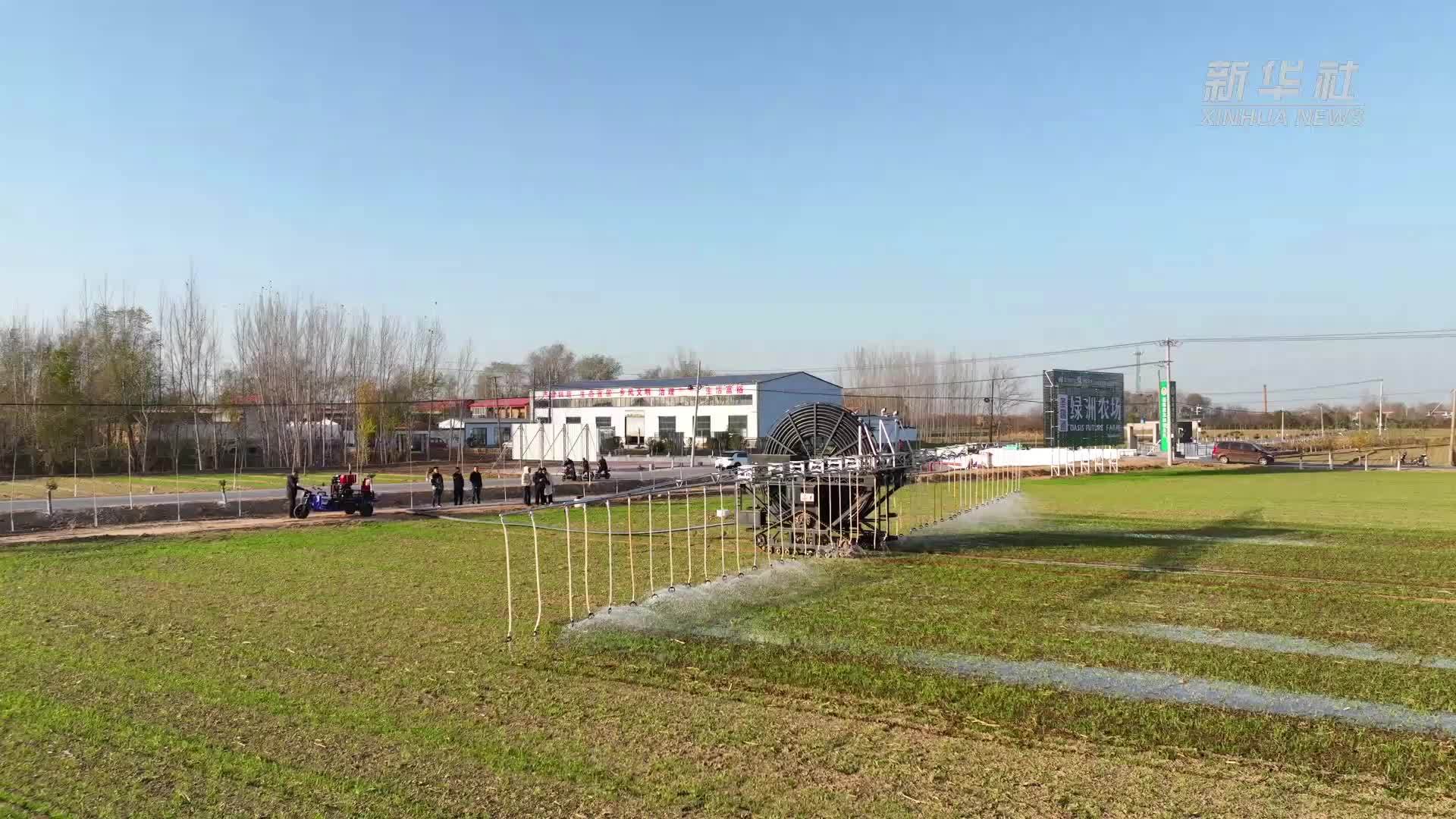 河北邱县：智慧管护保障小麦过冬