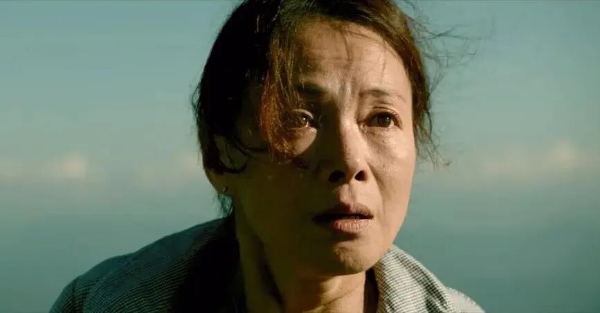 当鸽子其实挺好的,对命运一无所知 | 星期天文学·李萌