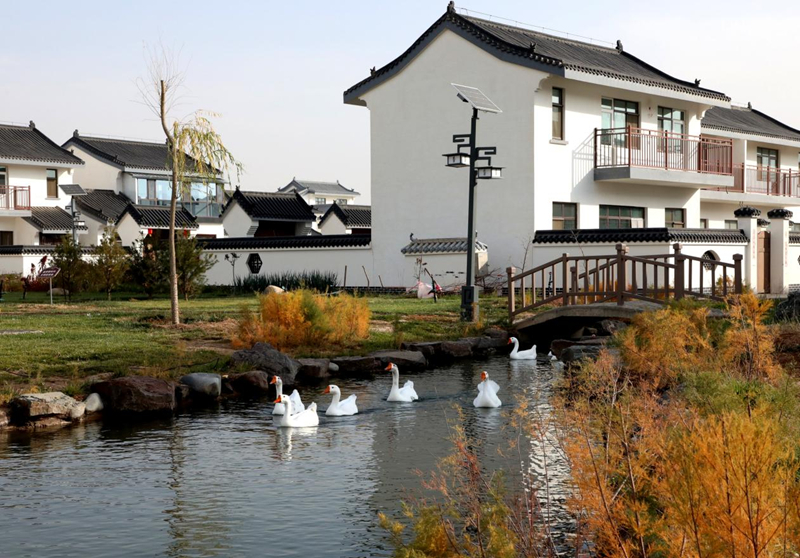 玩转寒旱特色农业闯“渔”乐圈 甘肃临泽解锁上分秘笈