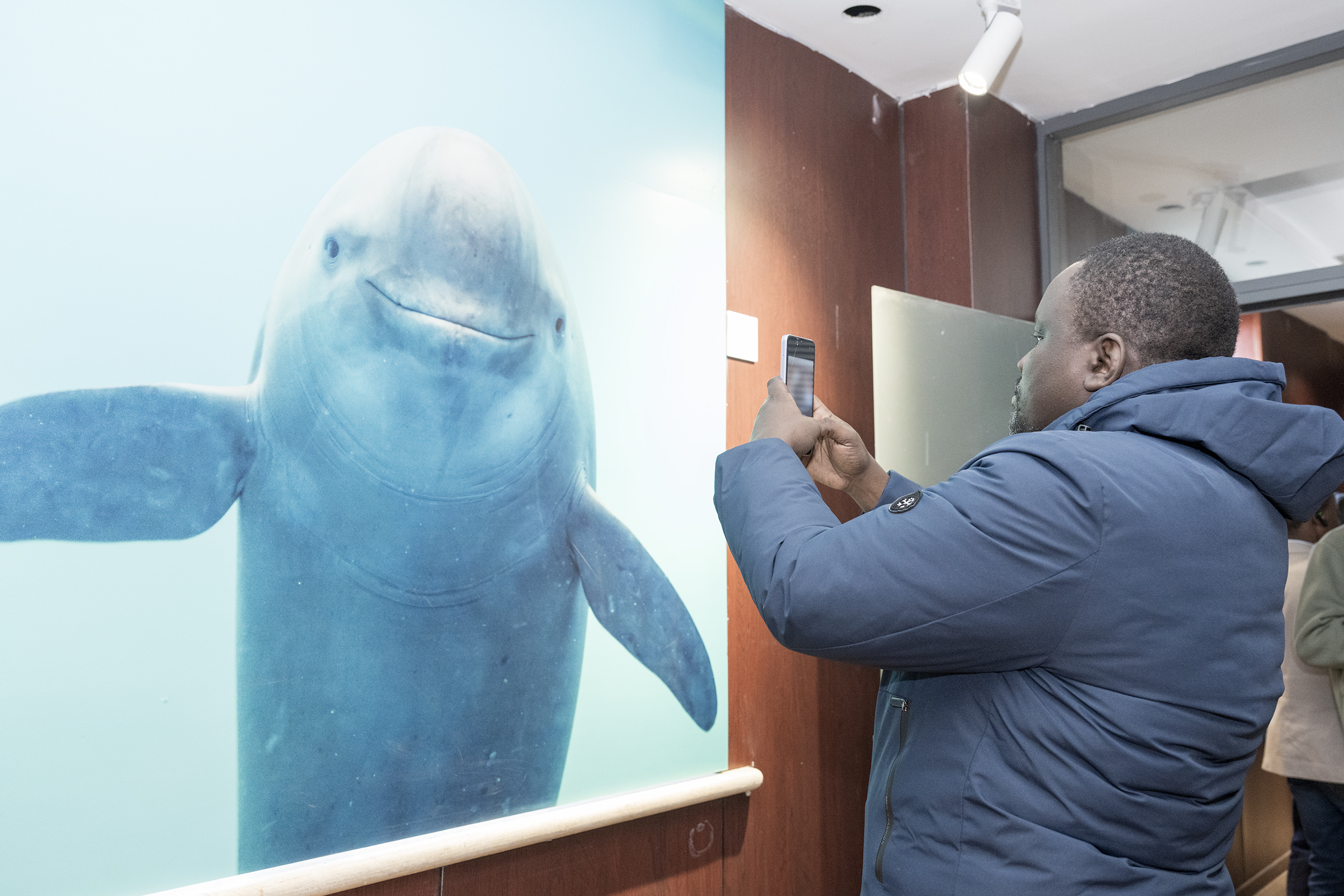 图片来源:南京江豚水生生物保护协会