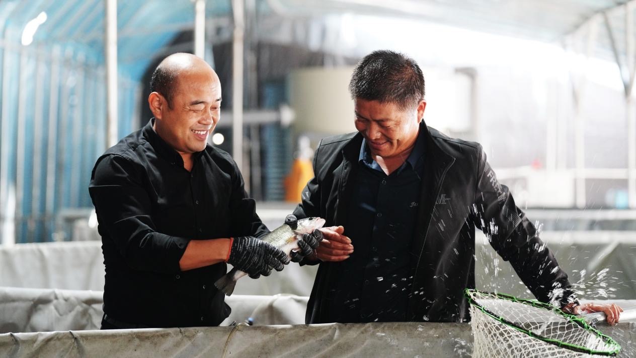 邹城市峄山镇崇军工作的一线调查