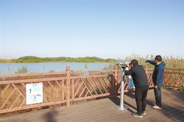 九江濂溪区芳兰湖景区安装4台高倍观鸟望远镜 供公众免费使用