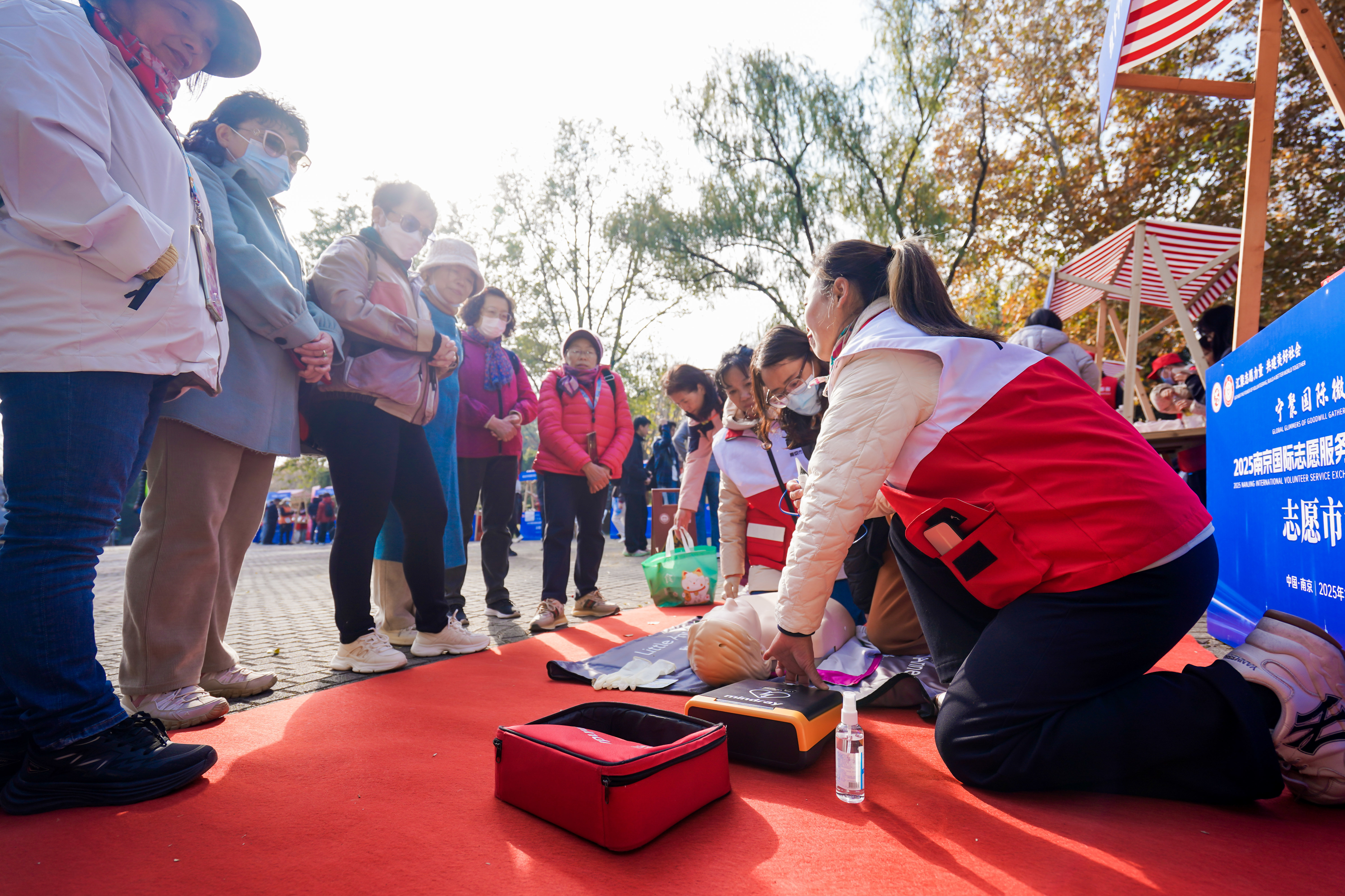 微光成炬,照见世界!2025南京国际志愿服务互鉴发展活动成功举办