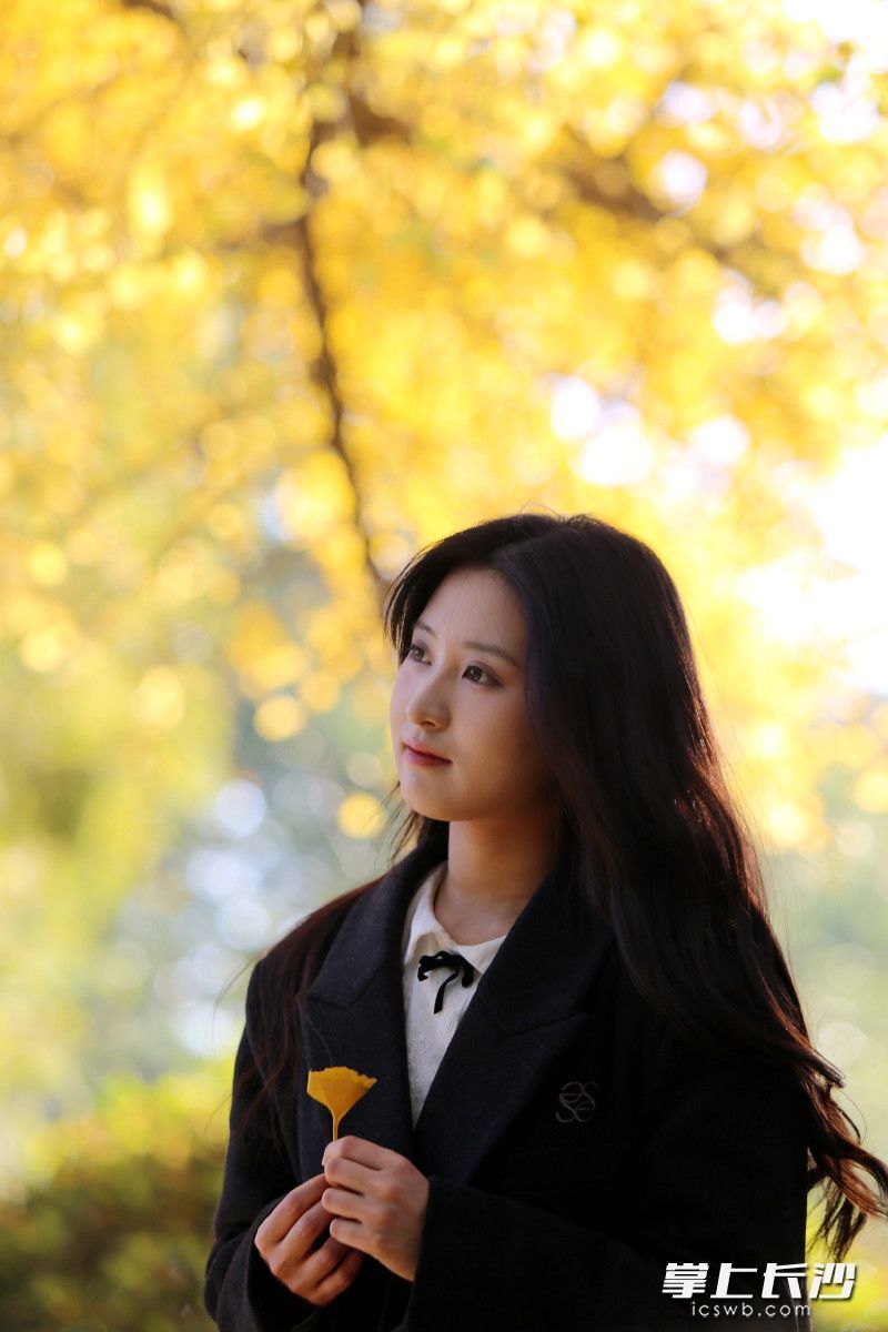 “银杏王”满树叶片金黄。