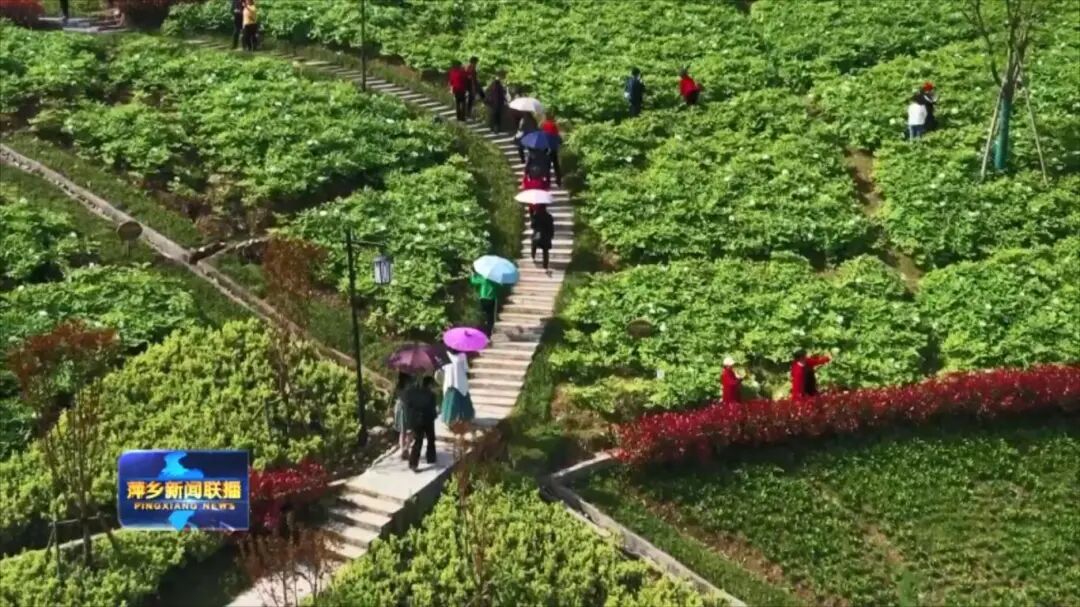 △乌石印象生态园