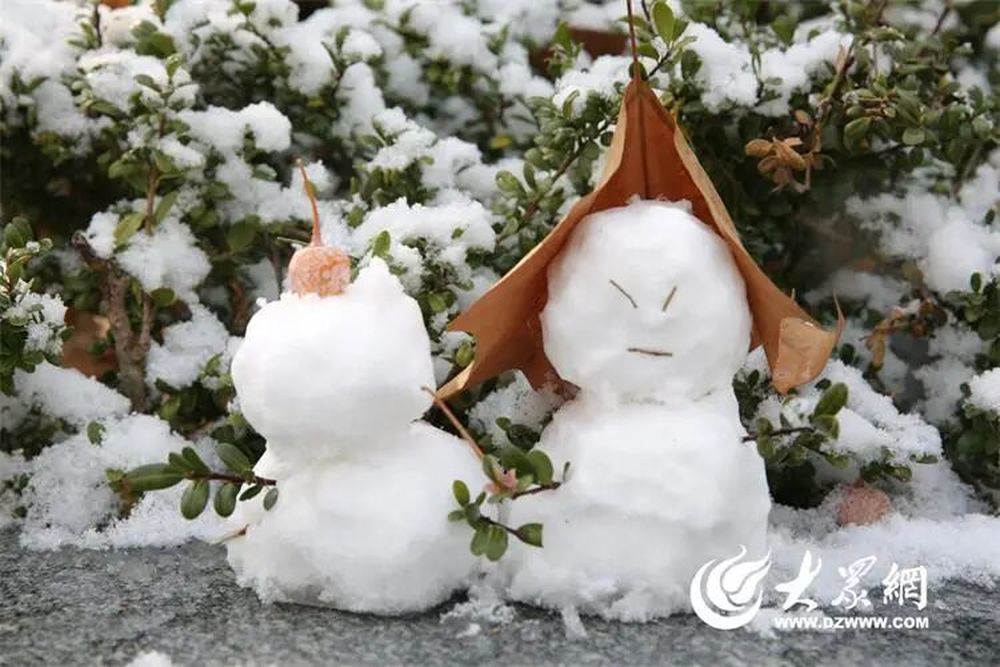 照片来源：山东城市服务职业学院