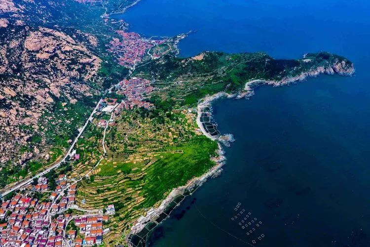 凤观 | “烟台盛会”启新程:山东以产业图谱为钥提速先行区建设