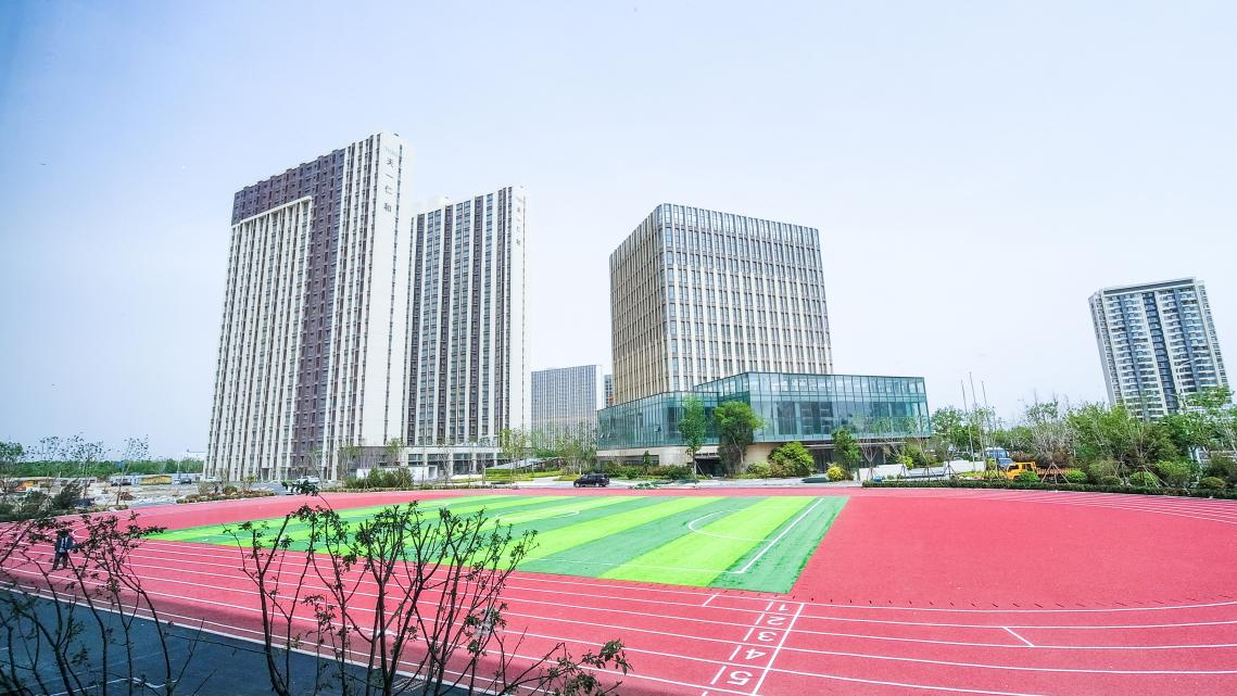 �����ں� �ھ�ʦ�ʣ�ɽ���׼�̨��רҵԺУ���ൺ��������