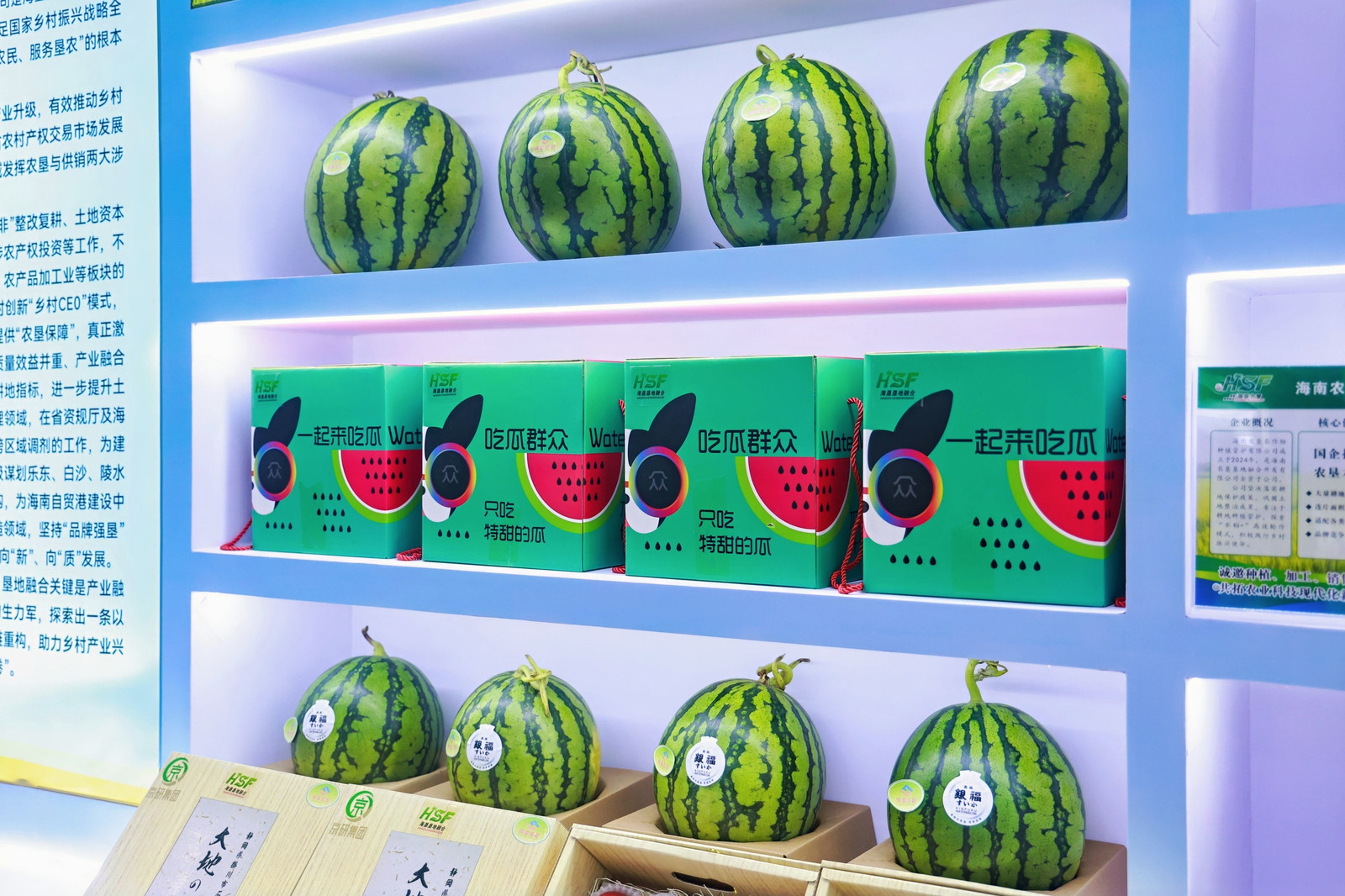 乡村振兴 垦地融合 2025年第28届中国(海南)国际热带农产品冬季交易会