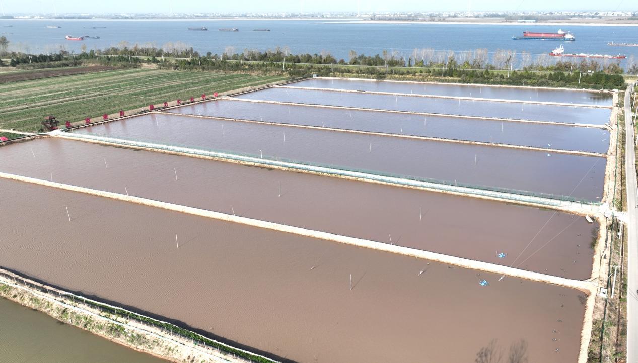 彭泽县马当镇船形村洋船头江水蟹养殖基地(柯恒 摄)