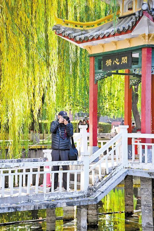 11月21日，王汝春在石家庄市平安公园拍照。本报记者 史晟全摄