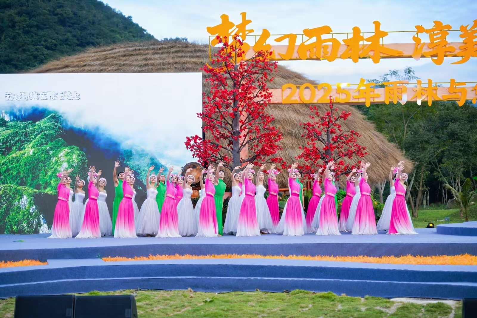 2025年“雨林与您”体验活动盛大启幕 生态与人文交织绘就雨林共生新画卷