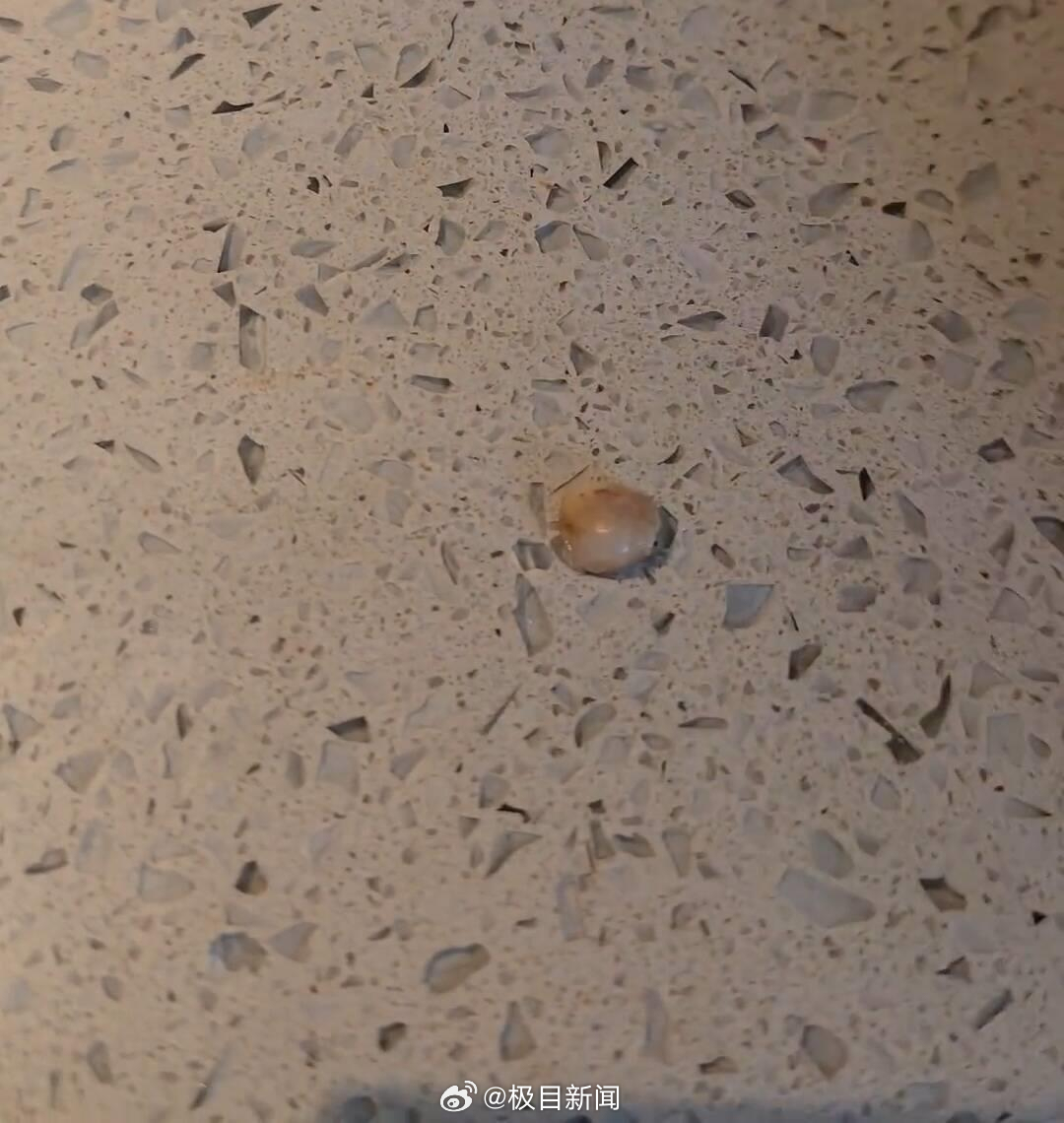 客人称在火锅店中吃出疑似牙齿异物,商家存疑,市监部门介入