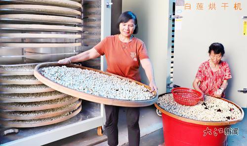 新余市渝水区村民在加工“太空莲子”。大江网视觉江西 廖海金 摄