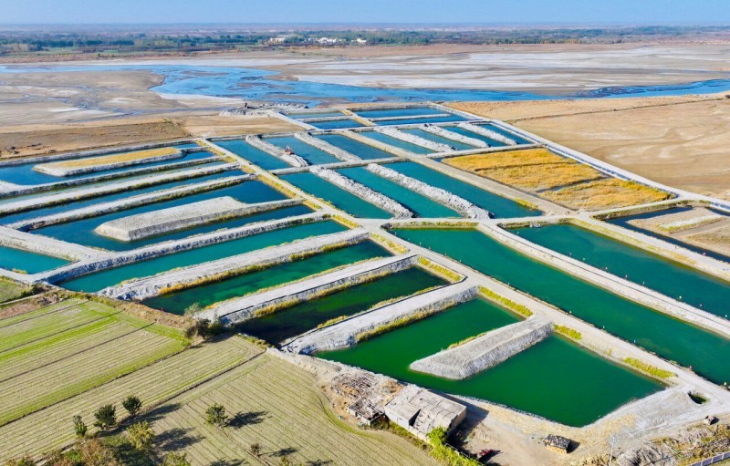 和田县英艾日克乡托勒干吉村水产养殖基地。 汤永 摄
