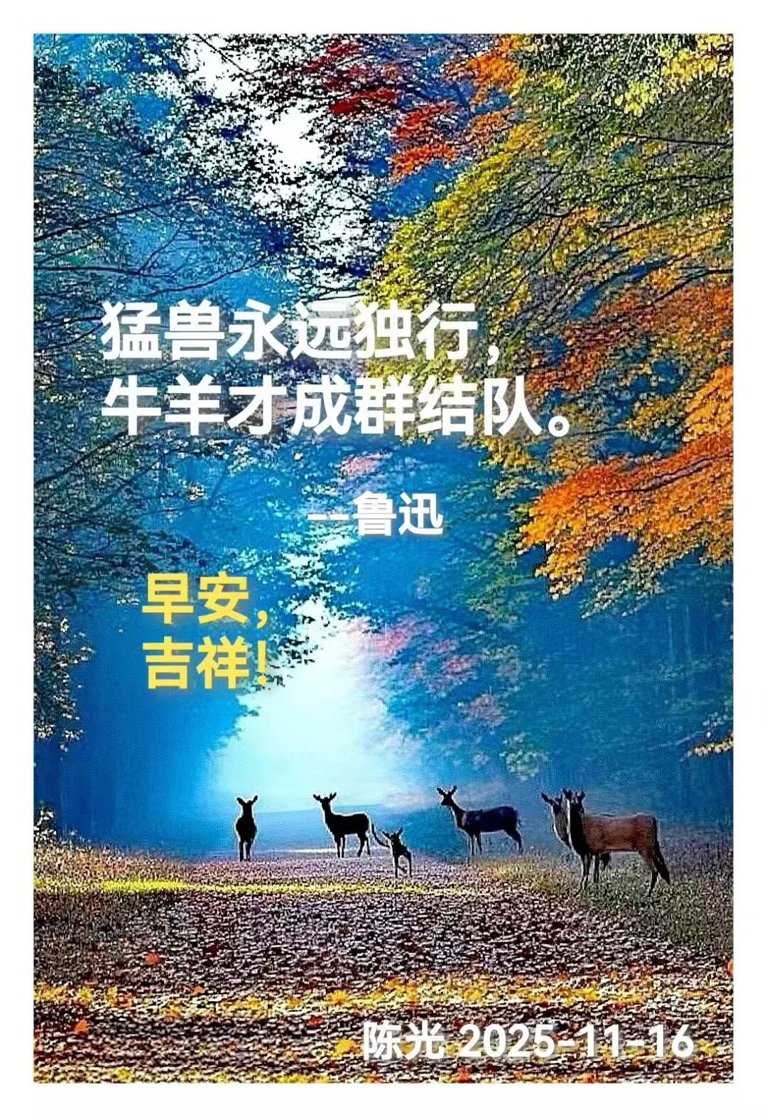 早安心语丨知世故而不世故，爱人爱己，豁达乐观！