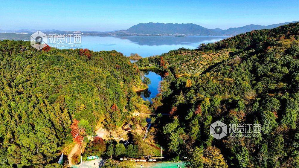 2025年11月29日，江西省分宜县山下实验林场小微湿地，在阳光的映照下，树木生机盎然、树叶色彩斑斓，与蓝天碧水共同构成一幅自然和谐的生态画卷。