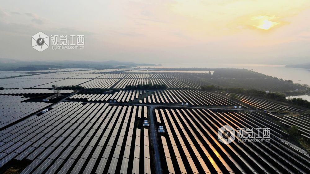 光伏板在清晨霞光下熠熠生辉,犹如一首美丽和谐的“渔光曲”。