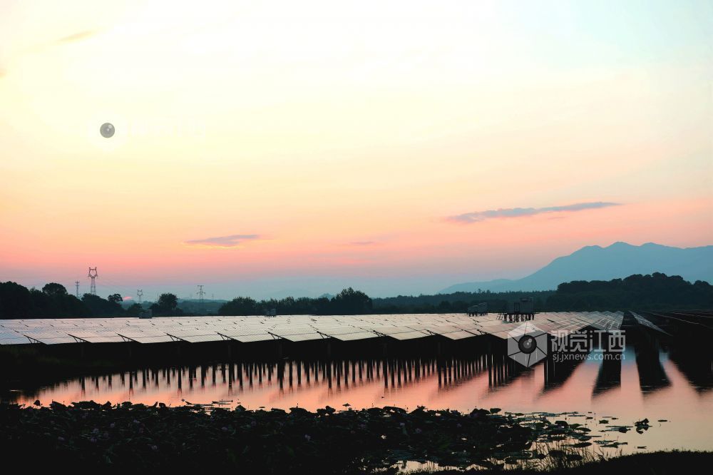 光伏板在清晨霞光下熠熠生辉,犹如一首美丽和谐的“渔光曲”。