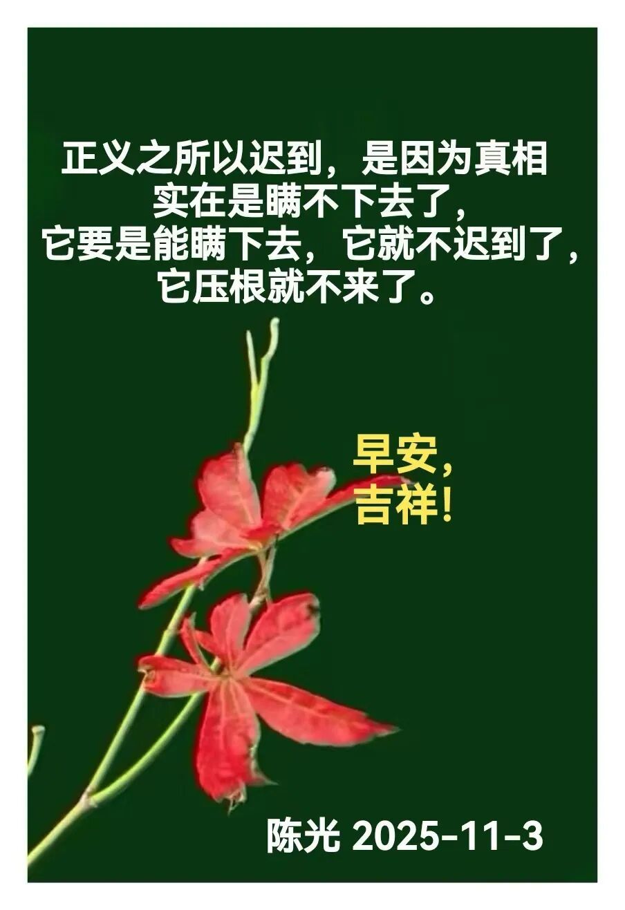 早安心语丨知世故而不世故，爱人爱己，豁达乐观！