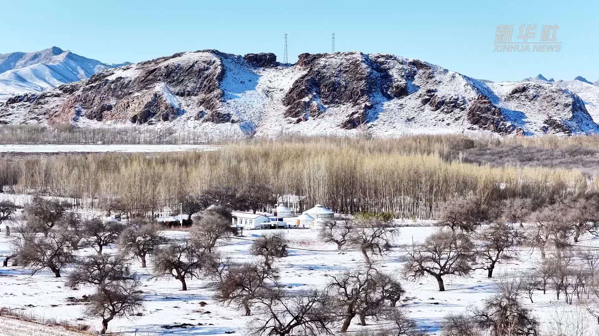 千城胜景｜内蒙古巴林左旗：古榆缀雪 旷野藏诗
