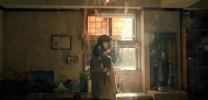 当鸽子其实挺好的,对命运一无所知 | 星期天文学·李萌