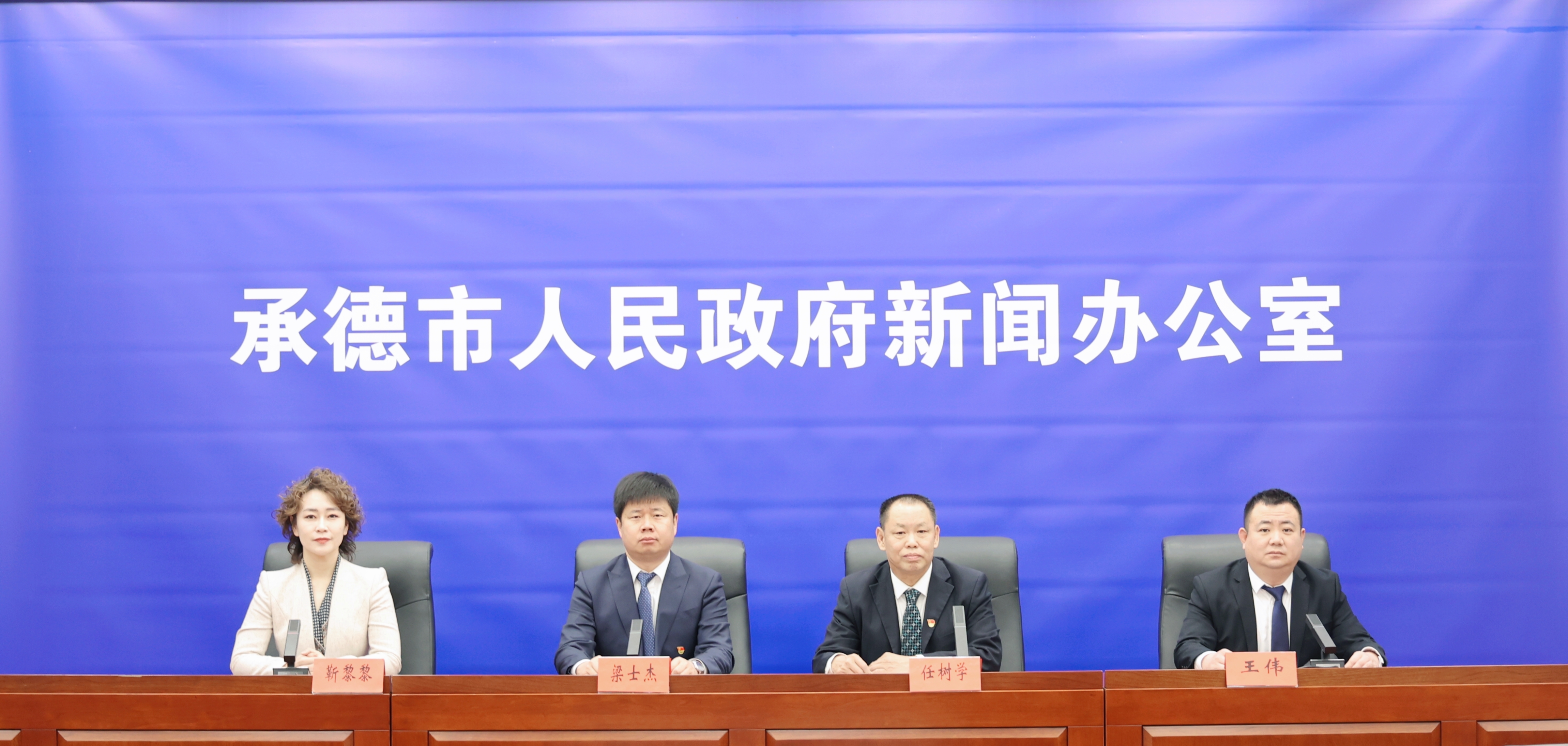 发布会 王占平摄