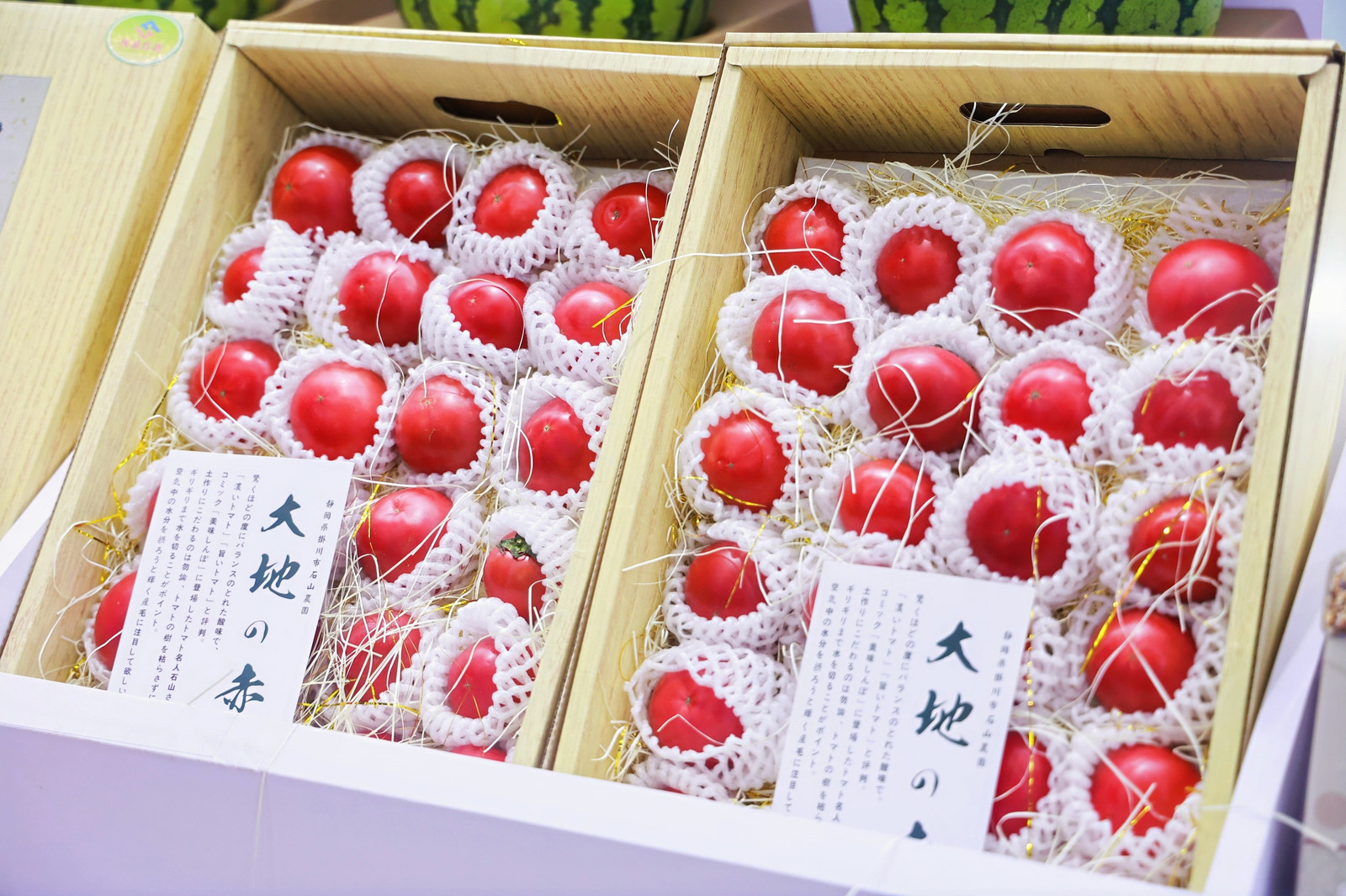 乡村振兴 垦地融合 2025年第28届中国(海南)国际热带农产品冬季交易会