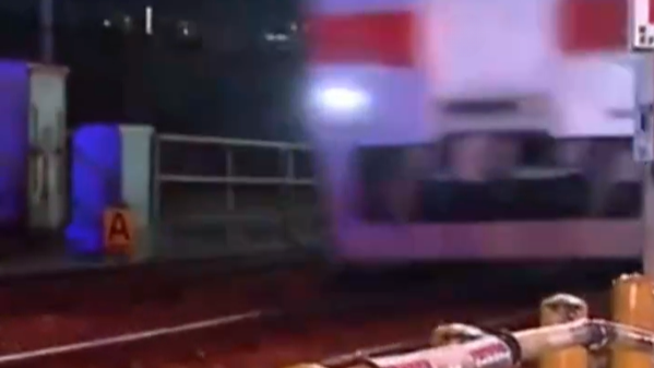 中国女游客在日本遭电车撞击身亡，死者父母状告电车公司及司机，索赔1亿日元