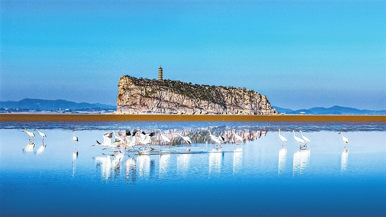 鹤舞鄱湖（图）