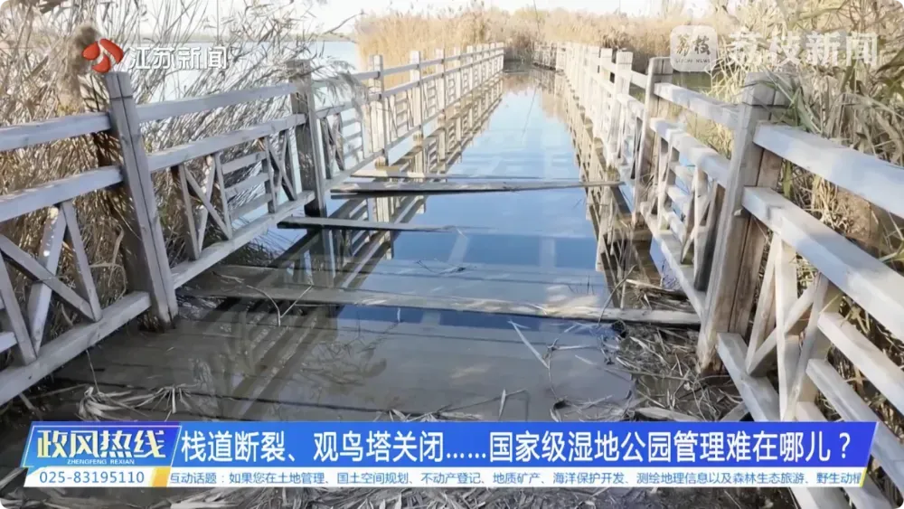 危险！徐州一国家级湿地公园栈道断裂、观鸟塔关闭……
