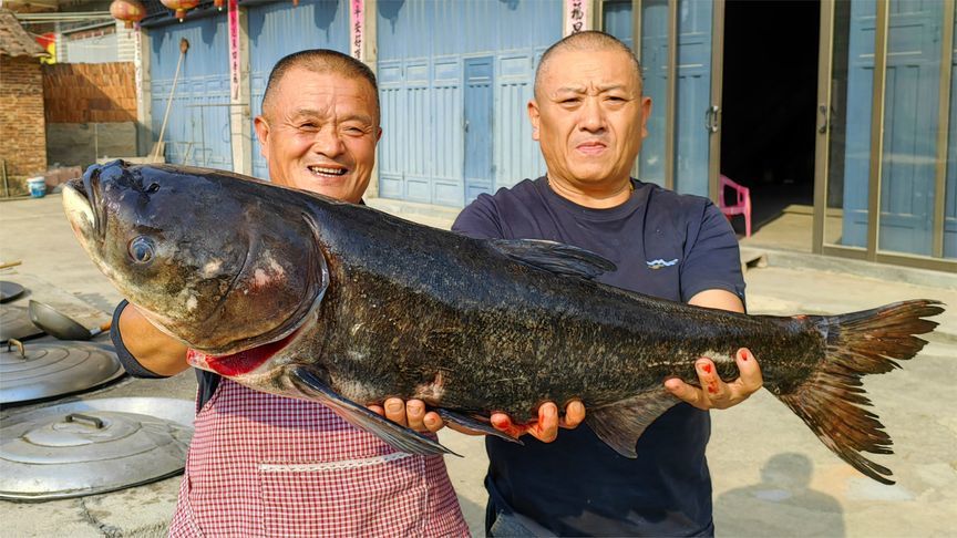 430买条大头鲢，阿胖山一鱼三吃，鲜而不腥，太好吃了