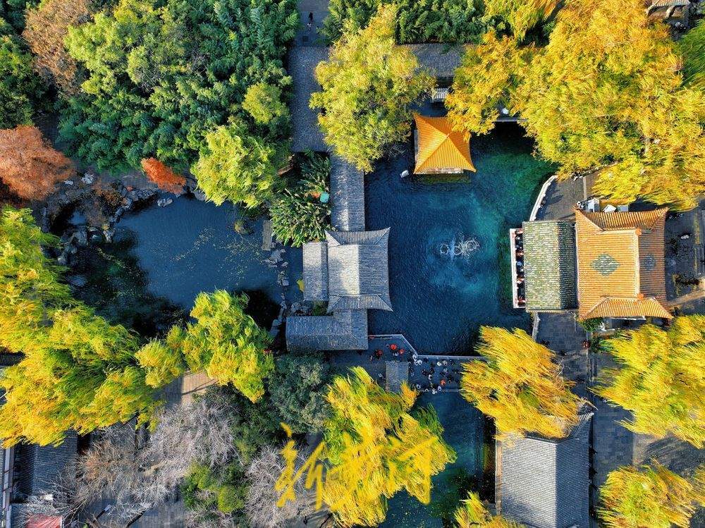 泉城气温跌破0℃ “趵突腾空”胜景依旧