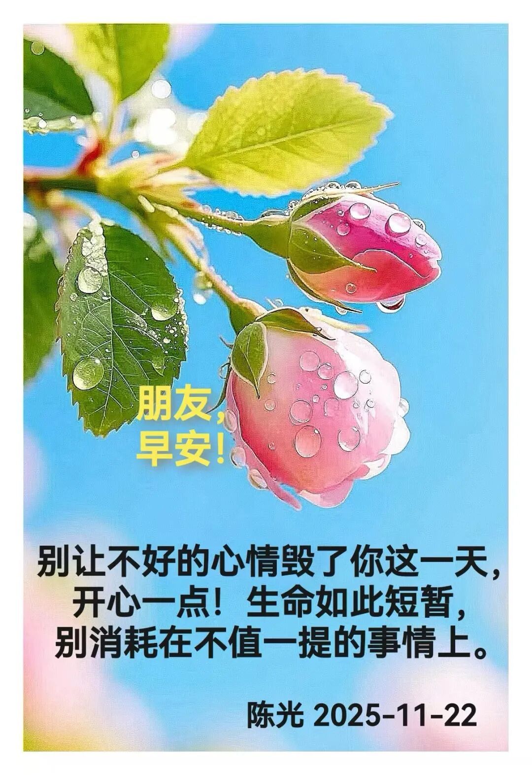 早安心语丨知世故而不世故，爱人爱己，豁达乐观！