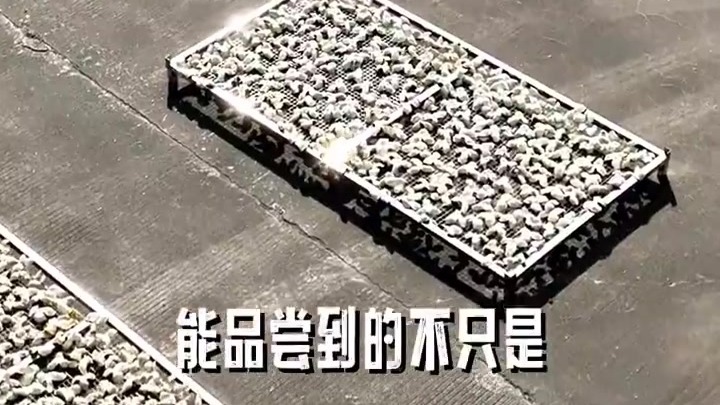 “陈皮之乡”为何飘出咖啡香？