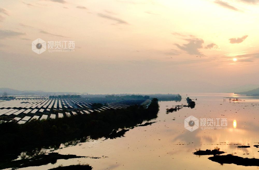 2025年12月2日,江西省分宜县分宜镇横溪村大型光伏发电站,光伏板在清晨霞光下熠熠生辉,犹如一首美丽和谐的“渔光曲”。