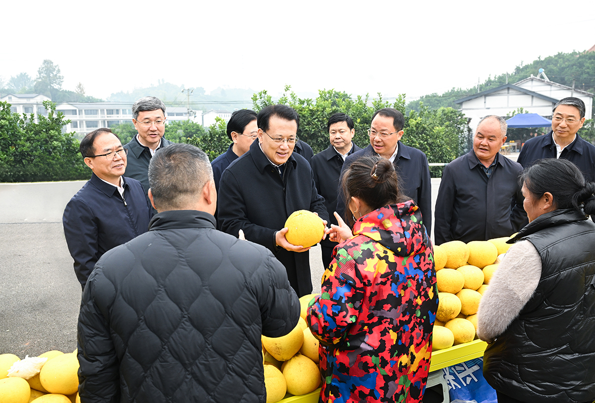 ▲12月2日，在梁平合兴街道龙滩村，市委书记袁家军同果农交流，了解柚产业发展和村民收入情况。记者 苏思 摄/视觉重庆