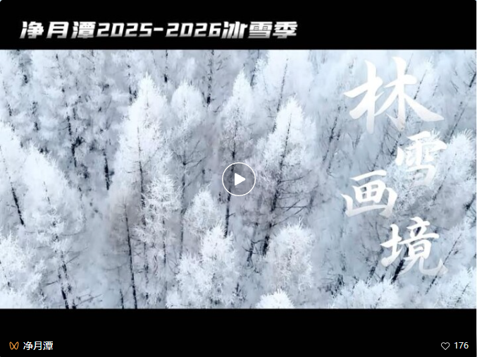 点击图片打开视频
