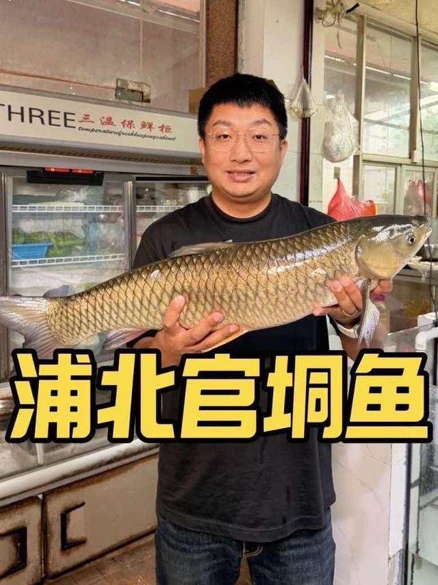 广西钦州，官垌草鱼养18年卖35元一斤，找饭店加工做一鱼九吃