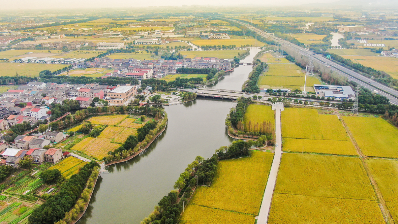 宁波全域国土空间综合整治：一幅“空间治理”的现代画卷