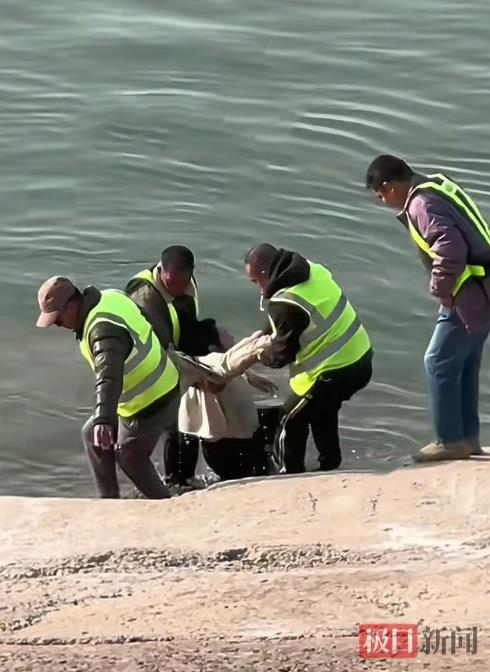 4名渡船安全员联手将溺水女子救起(目击者拍摄视频截图).png