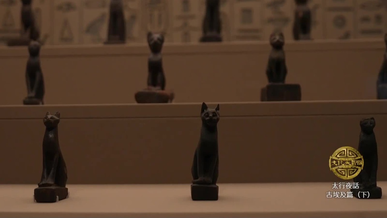 在所有被神化的古埃及动物中，猫为何是绝对的“明星”？