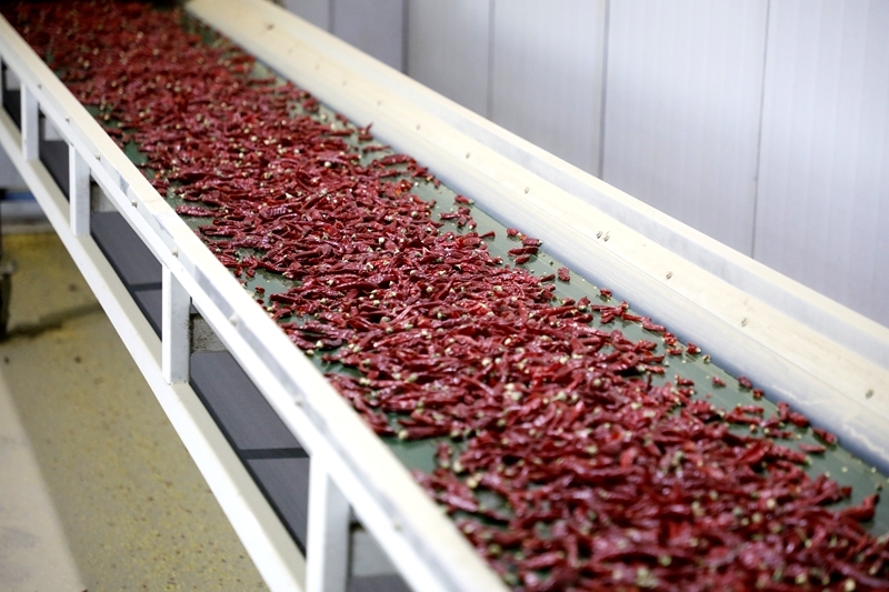 农产品精深加工走俏全国 甘肃临泽“钱”景无限