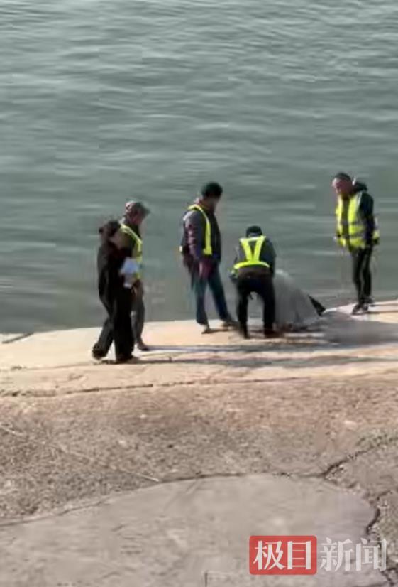 和顺96号渡船4名安全员联手将女子救起(目击者视频截图).png