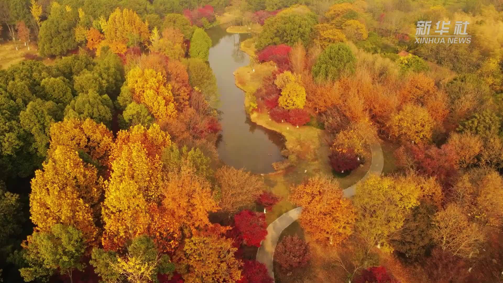 南昌：凤凰沟迎来色彩盛宴